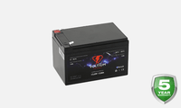 Batteria Intelligente LiFePO4 - 12,8V - 12AH - Bluetooth e Gestione Batteria
