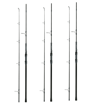 Offerte canne da carpa