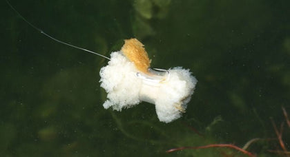 Zig e fissaggio del pane