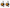 2x RV 7000 - Big Pit - Mega Offerta - Bobina Gold LTD