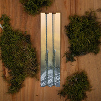 Completo - R2G Clip SR - Líder 90cm - Rig con plomos en el anzuelo