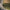 Avid Carp Exo 2 Man Inner Dome - KarperCentrale