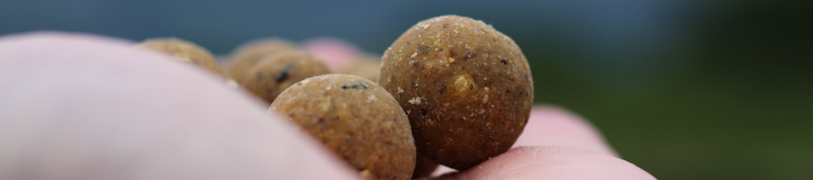 Boilies