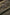 Fox Edges - Camo - Heli - Clip Leaders - 3 stuks - KarperCentrale