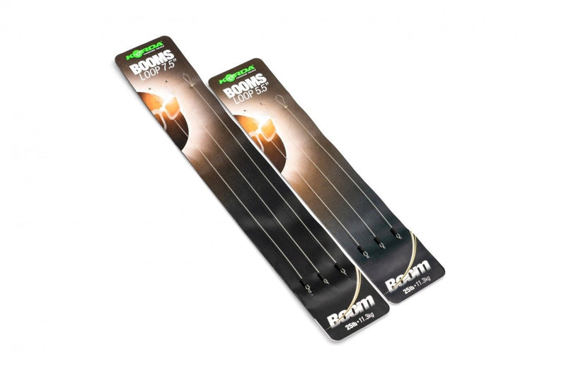 Sezione albero - Anello