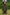 Korda Commuter Rucksack - Camo - KarperCentrale