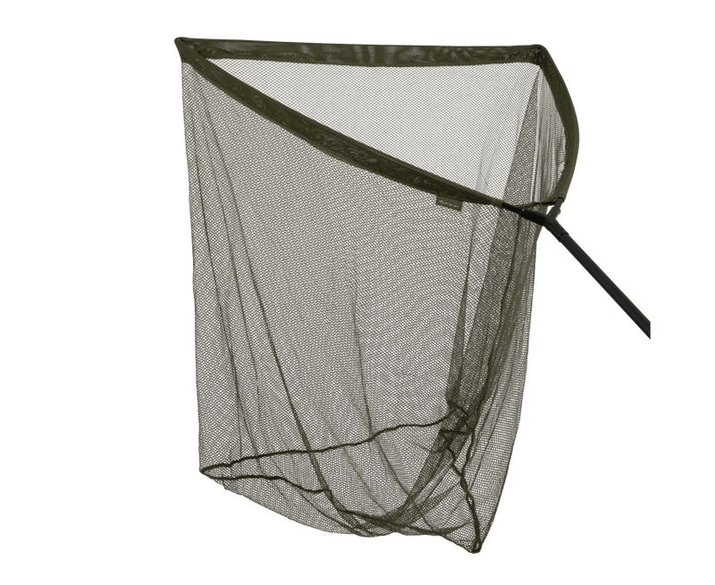 Specimen - Retino da sbarco - 36"