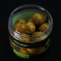 Sweet Maggot e Crema - Esche Dure - 20mm