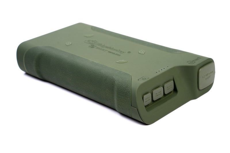 Powerbank - 77850mAh - Vault - C-Smart - Senza fili - Verde