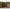 Solar Tackle P1 - Worldwide Pod - Mini - With Stubby Legs - KarperCentrale