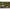 Solar Tackle P1 - Worldwide Pod - Mini - With Stubby Legs - KarperCentrale