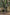 Trakker NXG - 12ft - 5 - Rod Sleeve - Compact - KarperCentrale